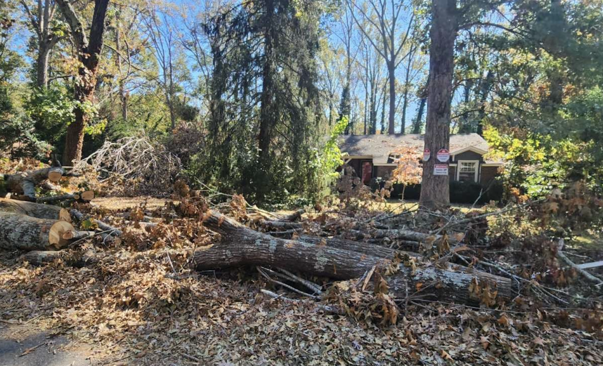 Trees piled on the side of the road after Hurricane Helene.